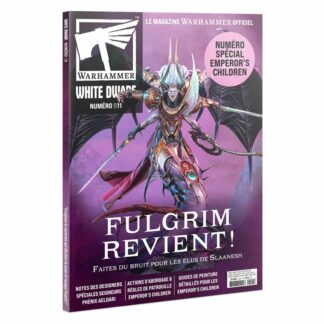 White Dwarf 511