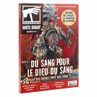 White Dwarf 513
